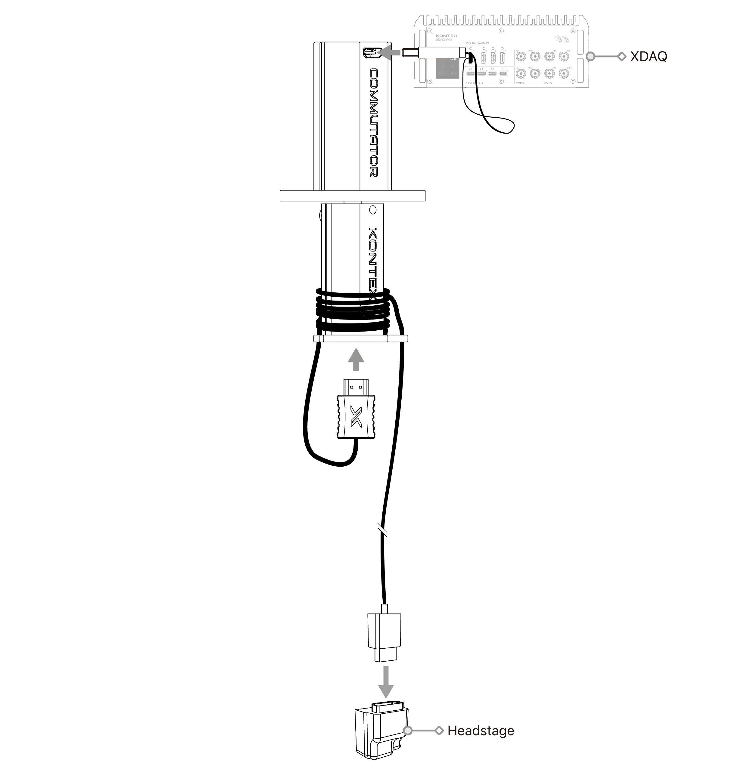 Mouse Setup